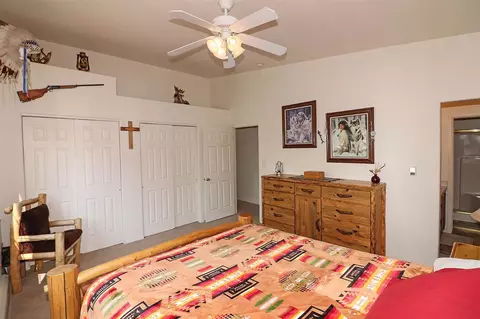 456 Phyllis Dr, Fruita, CO 81521 photo 17