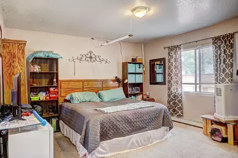 106 Peter Dr, Fruita, CO 81521 photo 37
