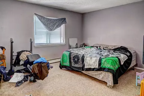 106 Peter Dr, Fruita, CO 81521 photo 8