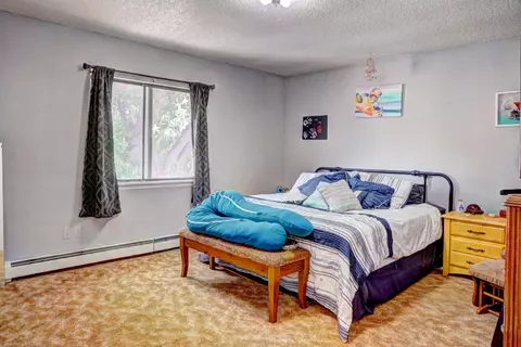 106 Peter Dr, Fruita, CO 81521 photo 29