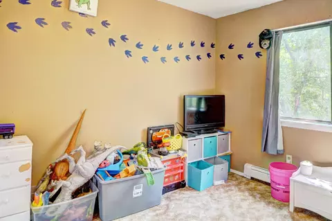 106 Peter Dr, Fruita, CO 81521 photo 27