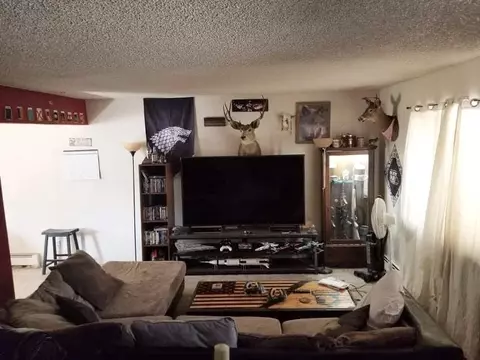 106 Peter Dr, Fruita, CO 81521 photo 13