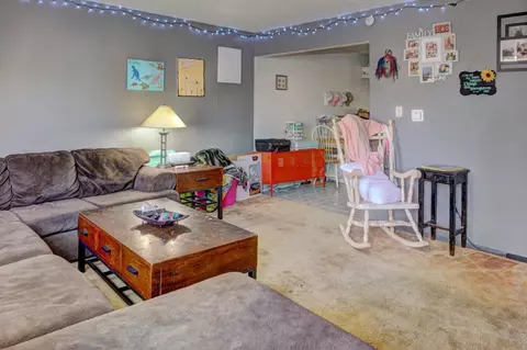 106 Peter Dr, Fruita, CO 81521 photo 22
