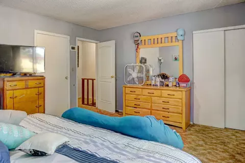 106 Peter Dr, Fruita, CO 81521 photo 30