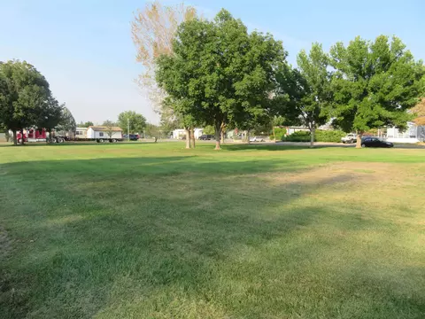 411 Pisces Cir, Fruita, CO 81521 photo 34