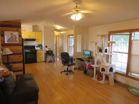 411 Pisces Cir, Fruita, CO 81521 photo 2
