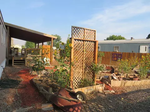 411 Pisces Cir, Fruita, CO 81521 photo 22
