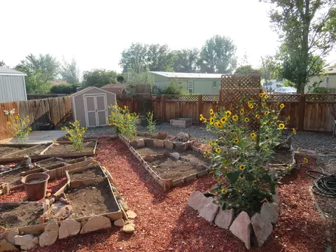 411 Pisces Cir, Fruita, CO 81521 photo 21