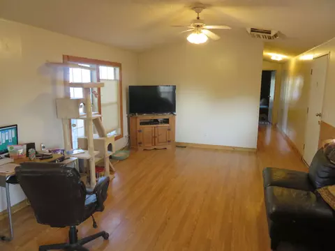 411 Pisces Cir, Fruita, CO 81521 photo 5