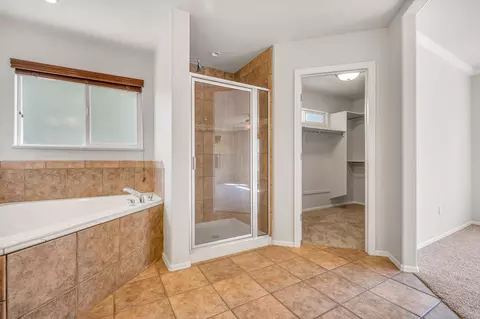 253 Belden Ct, Fruita, CO 81521 photo 19