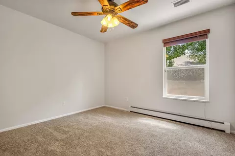253 Belden Ct, Fruita, CO 81521 photo 11