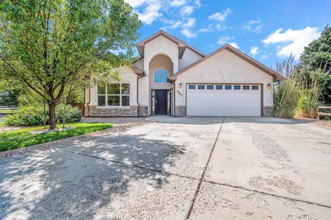 253 Belden Ct, Fruita, CO 81521 photo 1