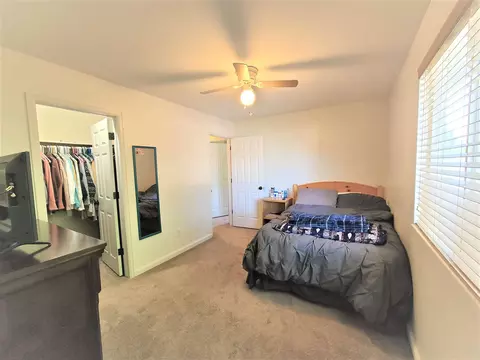 735 Pinyon Ct, Fruita, CO 81521 photo 23