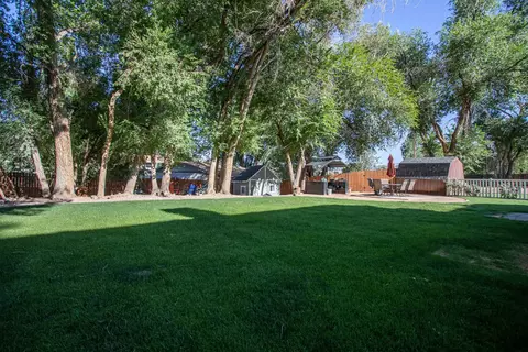 1084 Wallace St, Fruita, CO 81521 photo 32