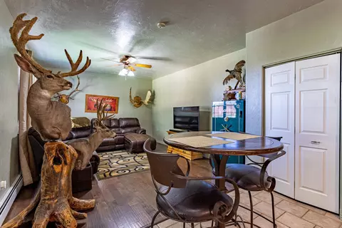 1084 Wallace St, Fruita, CO 81521 photo 6