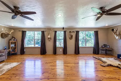 1084 Wallace St, Fruita, CO 81521 photo 35