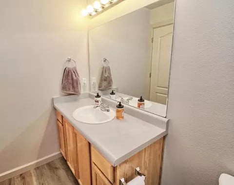 410 Gold Rush Dr, Fruita, CO 81521 photo 19