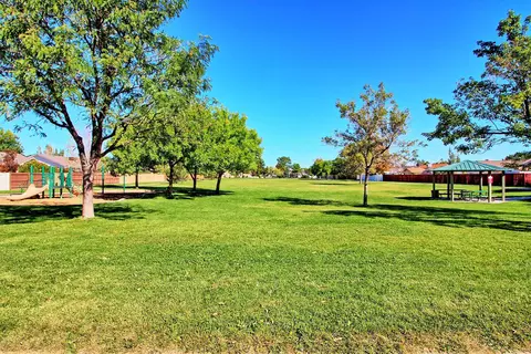410 Gold Rush Dr, Fruita, CO 81521 photo 35