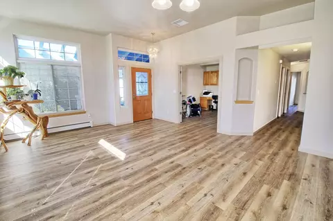 410 Gold Rush Dr, Fruita, CO 81521 photo 5