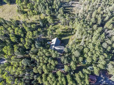 60 Spruce Rd, Cimarron, CO 81220 photo 19