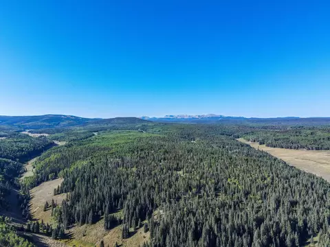 60 Spruce Rd, Cimarron, CO 81220 photo 20
