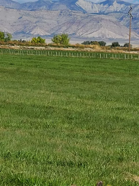 1654 M Rd, Fruita, CO 81521 photo 9