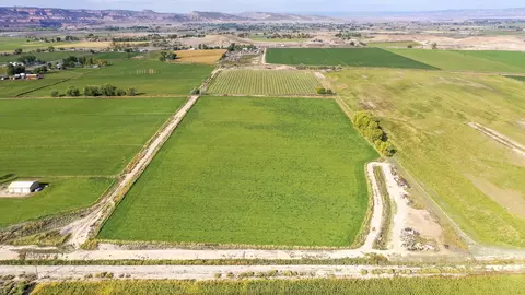 1654 M Rd, Fruita, CO 81521 photo 4