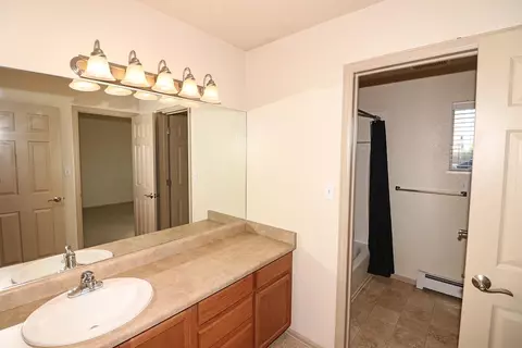 201 Sargent Cir, Fruita, CO 81521 photo 21