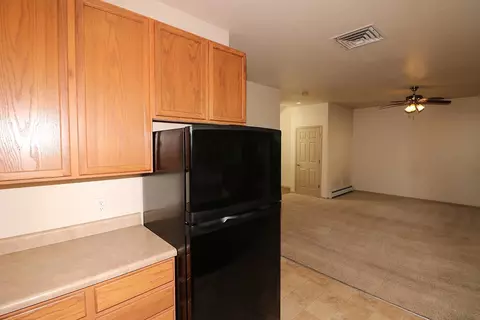 201 Sargent Cir, Fruita, CO 81521 photo 9