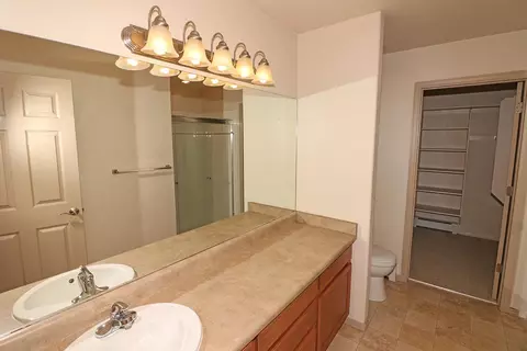 201 Sargent Cir, Fruita, CO 81521 photo 17