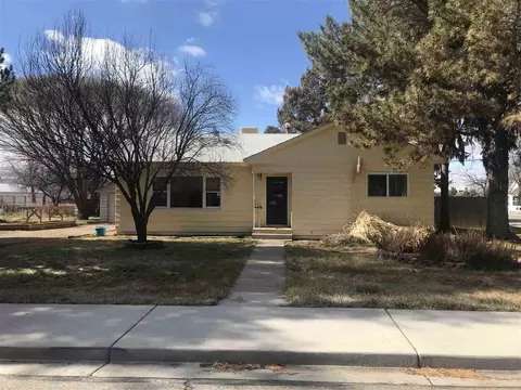 205 S Peach St, Fruita, CO 81521 photo 1