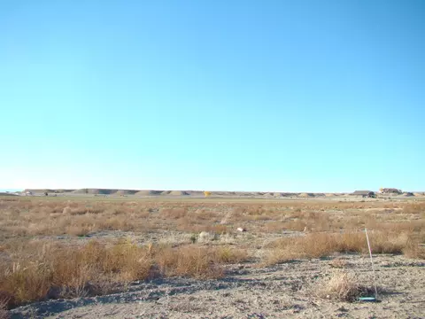 1645 Saddle Ring Ct, Loma, CO 81524