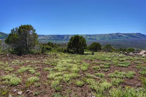 49009 Rigby Rd, Mesa, CO 81643 photo 4