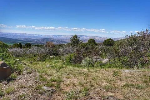49009 Rigby Rd, Mesa, CO 81643 photo 7