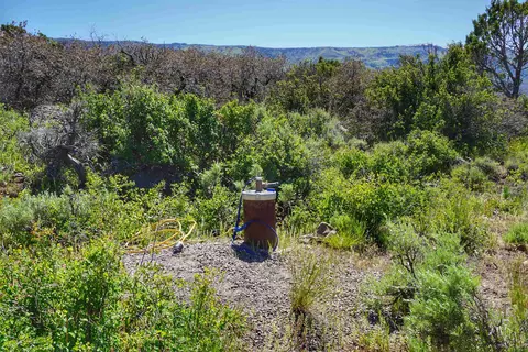 49009 Rigby Rd, Mesa, CO 81643 photo 8