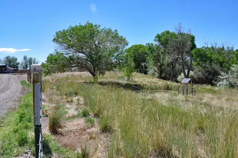 3403 D Rd, Palisade, CO 81526 photo 37