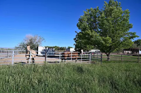3403 D Rd, Palisade, CO 81526 photo 33