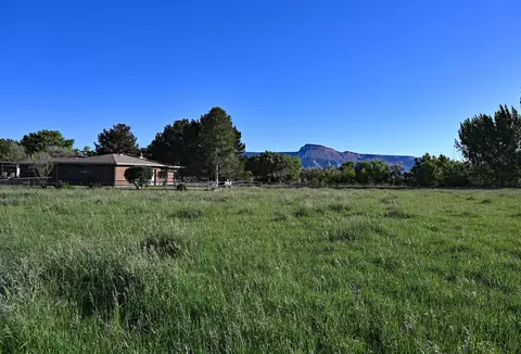 3403 D Rd, Palisade, CO 81526 photo 32