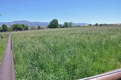 3403 D Rd, Palisade, CO 81526 photo 39
