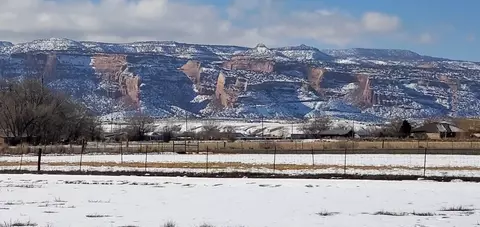2054 I Rd, Fruita, CO 81521 photo 4