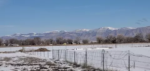 2054 I Rd, Fruita, CO 81521 photo 5