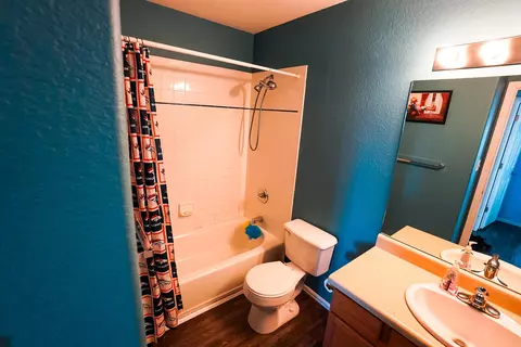 255 Narrow Leaf Dr, Fruita, CO 81521 photo 15