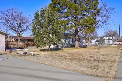 860 E Harrison Ave, Fruita, CO 81521 photo 19