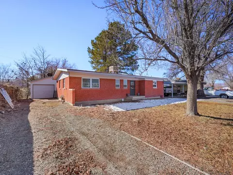 118 W Roberson Dr, Fruita, CO 81521 photo 29