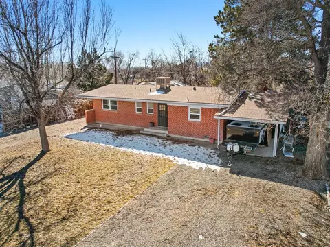 118 W Roberson Dr, Fruita, CO 81521 photo 40