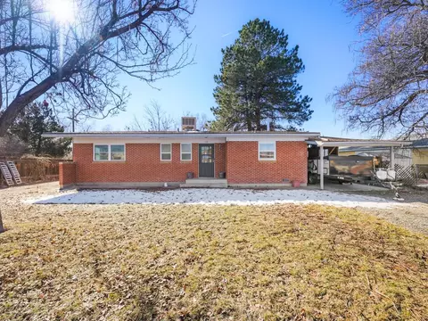 118 W Roberson Dr, Fruita, CO 81521 photo 30