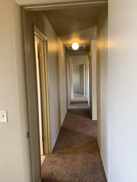 1030 E Pabor Ave, Fruita, CO 81521 photo 18