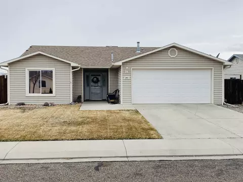 241 Narrow Leaf Dr, Fruita, CO 81521 photo 1
