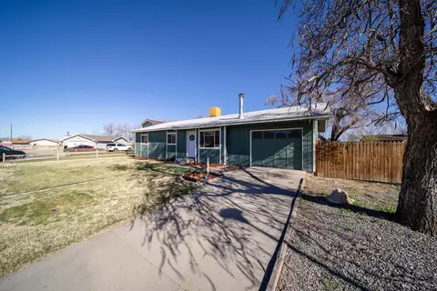 203 E Heritage Ct, Fruita, CO 81521 photo 15