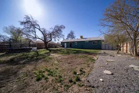 203 E Heritage Ct, Fruita, CO 81521 photo 5